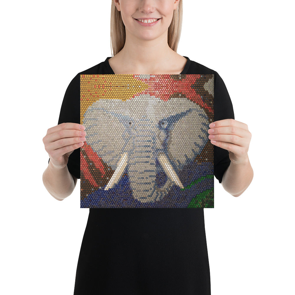 Canvas (Elephant)